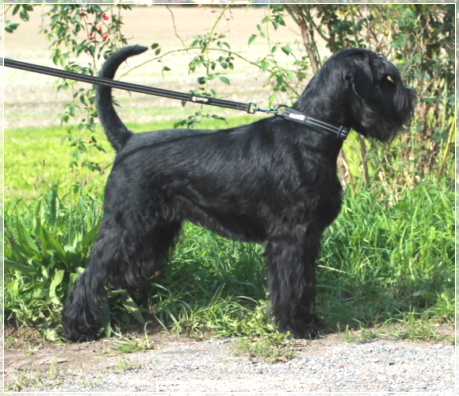 Un´avventura Unica von der Thelersäule