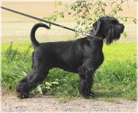 Younique Yndiya von der Thelersäule